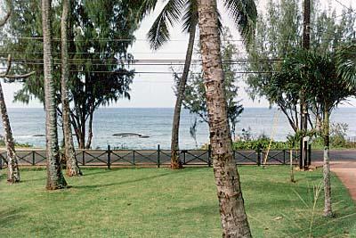 фото отеля Backpackers Vacation Inn and Plantation Village
