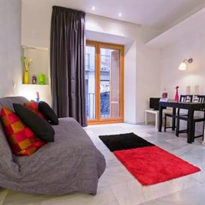 фото отеля Studios Apartamentos Puerta Del Sol Madrid