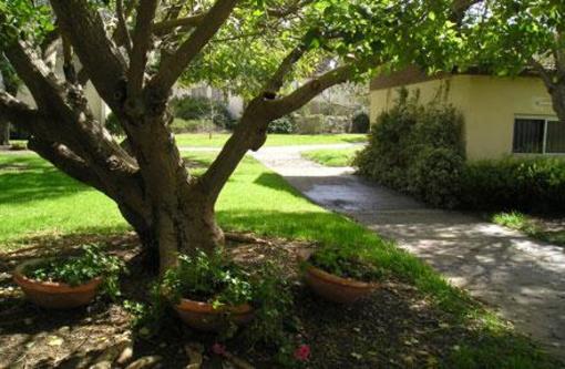 фото отеля Kibbutz Mizra Country Lodging
