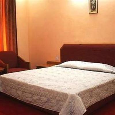 фото отеля Hotel Manali Nest