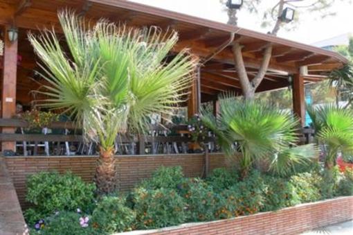 фото отеля Majestic Hotel Durres