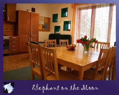 фото отеля Elephant on the Moon Hostel