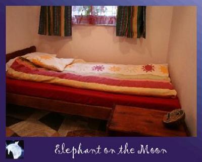 фото отеля Elephant on the Moon Hostel