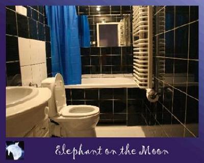 фото отеля Elephant on the Moon Hostel