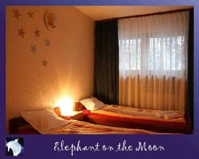 фото отеля Elephant on the Moon Hostel