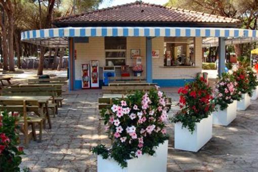 фото отеля Camping La Principina