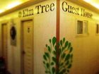 фото отеля Elm Tree Guest House
