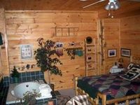Mountain Shadows Log Home Resort