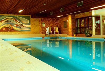 фото отеля Schwarzwaldhotel Ruhbuhl Lenzkirch