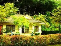 Green Home Resort
