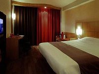 Ibis Braga