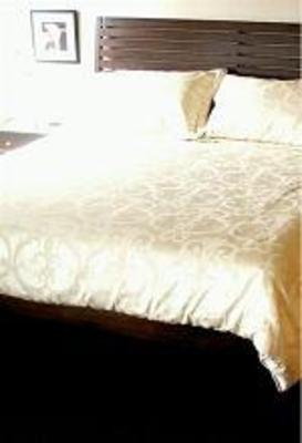 фото отеля Alpin Complexe Hotelier