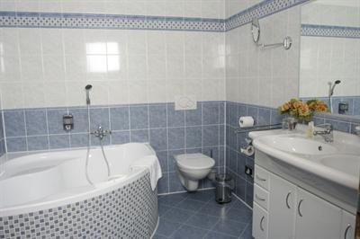 фото отеля Hotel Modra Ruze