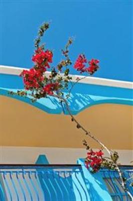 фото отеля Pedi Beach Hotel Symi