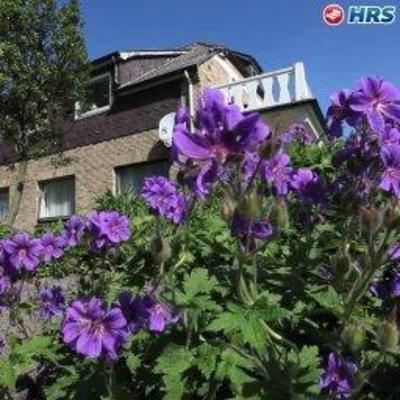 фото отеля Pension, Restaurant Cafe Treenehof