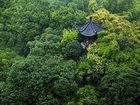 фото отеля Shangri-La Hotel Hangzhou