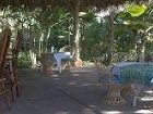 фото отеля Alma del Pacifico Hotel