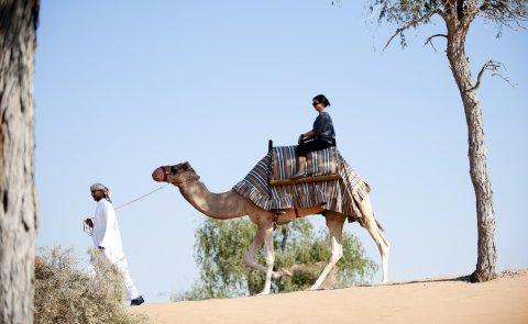 фото отеля Banyan Tree Al Wadi