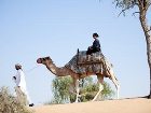 фото отеля Banyan Tree Al Wadi