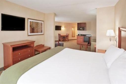 фото отеля Holiday Inn Express Hotel & Suites Auburn Hills