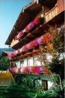фото отеля Angelika Pension Alpbach