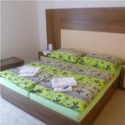 фото отеля Hotel Art Pisek