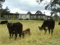 Bumblebrook Farm Motel