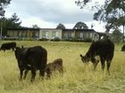 фото отеля Bumblebrook Farm Motel