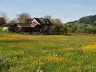 фото отеля Naturnoech