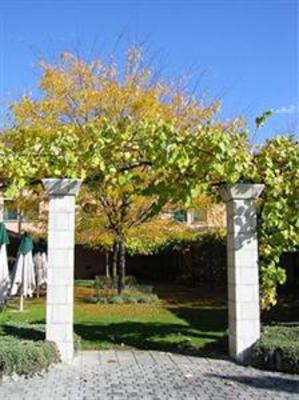 фото отеля Hotel Des Vignes