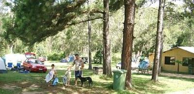 фото отеля Glass House Mountains Holiday Village Accommodation Caloundra