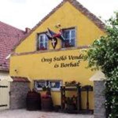 фото отеля Oreg Szolo Wellness Vendeghaz
