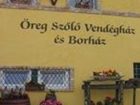 фото отеля Oreg Szolo Wellness Vendeghaz