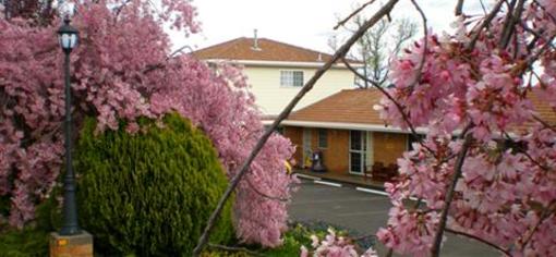 фото отеля White Lanterns Motel Armidale