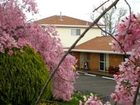 фото отеля White Lanterns Motel Armidale