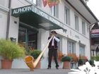 фото отеля Hotel Alphorn