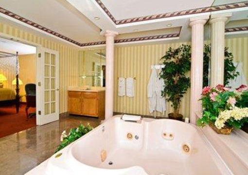 фото отеля Quality Inn & Suites University Airport