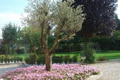 фото отеля Villa Bongiovanni