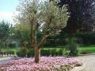 фото отеля Villa Bongiovanni