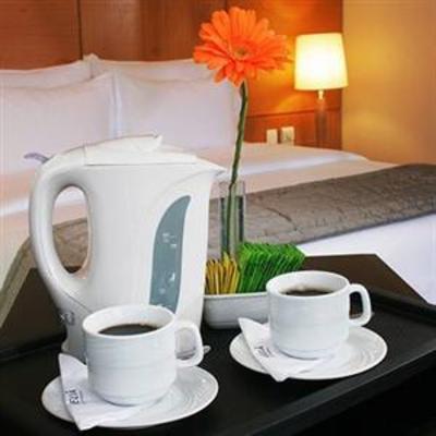 фото отеля Melia Jardim Europa