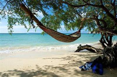 фото отеля The Haad Tien Beach Resort Koh Tao