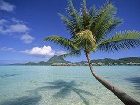 фото отеля Bora Bora Pearl Beach Resort & Spa