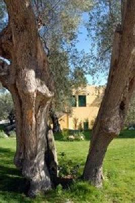 фото отеля Hotel Poggio Degli Ulivi