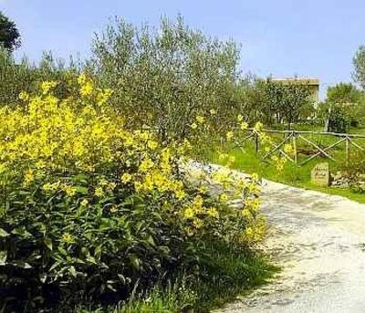 фото отеля Nonna Rana Holidays Apartments