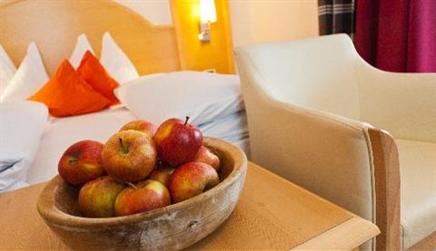 фото отеля Hotel Messnerwirt
