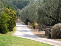 Hotel Fabricia
