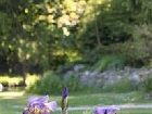 фото отеля Le Clos de Mutigny