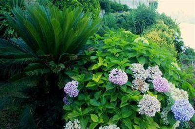 фото отеля Graal Hotel Ravello