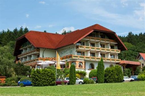 фото отеля Schwarzwald-Hotel Silberkoenig Ringhotel