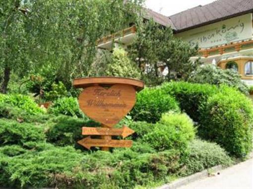 фото отеля Schwarzwald-Hotel Silberkoenig Ringhotel